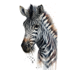Zebra Aquarell Cool Tier
