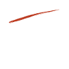 SPED Neurodiversity Dyscalculia