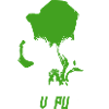 Crâne de RavePunk