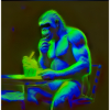 gorilla