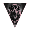 Rottweiler,Dog Head,Dog Sport,Bodyguard