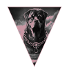 Rottweiler,Dog Head,Dog Sport,Bodyguard