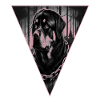 Rottweiler,Dog Head,Dog Sports