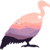 California condor