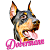 Dobermann