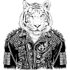 Tiger Heavy