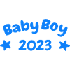 Baby Boy 2023 Design