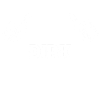 Dirk