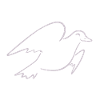 Flying pigeon (light)