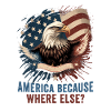 American Patriotic USA Design