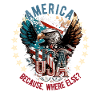 American Patriotic USA Design
