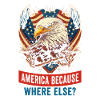 American Patriotic USA Design