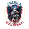 American Patriotic USA Design