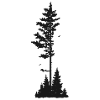 Préserver la forêt
