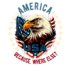 American Patriotic USA Design