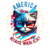 American Patriotic USA Design