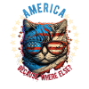 American Patriotic USA Design