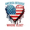American Patriotic USA Design