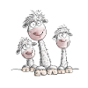 Funny Llama Trio I Alpaca Design