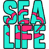 Sea life