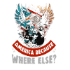 American Patriotic USA Design