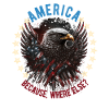 American Patriotic USA Design