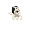 Sheepadoodle Doodle Dog