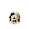 Sheepadoodle Doodle Dog