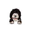 Sheepadoodle Doodle Dog