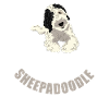 Sheepadoodle Doodle Dog