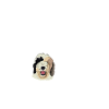 Sheepadoodle Doodle Dog