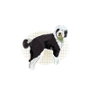 Sheepadoodle Doodle Dog