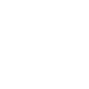 Sheepadoodle Doodle Dog