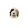 Sheepadoodle Doodle Dog