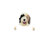 Sheepadoodle Doodle Dog