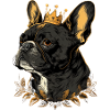 nepmania french bulldog