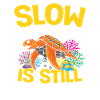 SLOW PROGRESS IS STILL PROGRESS
