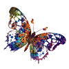 Schmetterling trifft auf Farbvielfalt