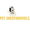 Sheepadoodle Doodle Dog