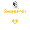 Sheepadoodle Doodle Hund