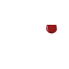 Sheepadoodle Doodle Dog