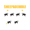 Sheepadoodle Doodle Chien
