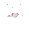 Axolotl Aquatic Animal Water Gift