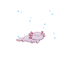 Axolotl