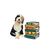 Sheepadoodle Doodle Dog
