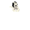 Sheepadoodle Doodle Dog