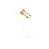 Skeleton Violin Cat