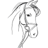 Beau cheval