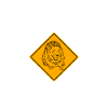 Botswana - Lion