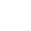 Volleyball Papa